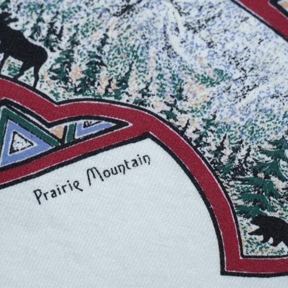 Vintage Alaska Wildlife Tee by Prairie Mountain – L – Bald Eagle & Nature Scene - Picture 2 of 3